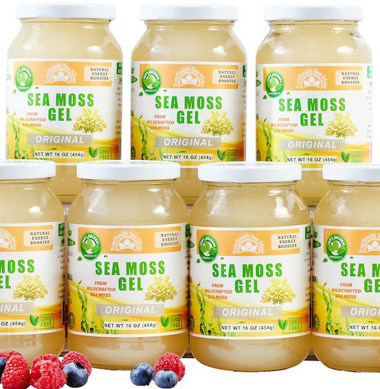 Value Packs - Unflavored Golden Sea Moss Gel (16 Ounce)